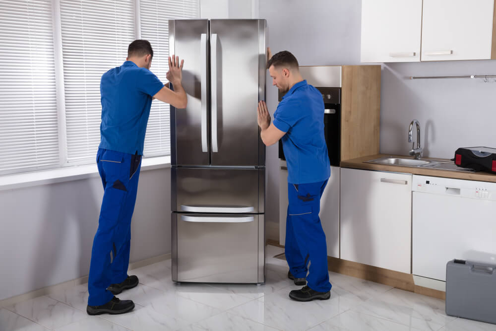 Professional Relocation Services For Families In Florida