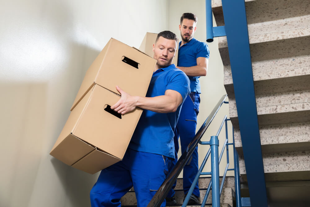Professional Movers Henderson